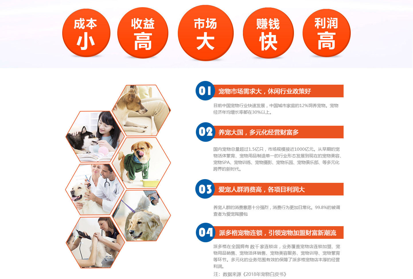 派多格宠物店加盟